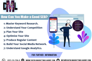 http://www.digitalmarketinglahore.com/seo-company/