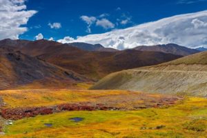 colorful deosai1