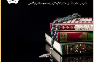 best quran online classes